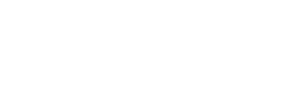 Visa®